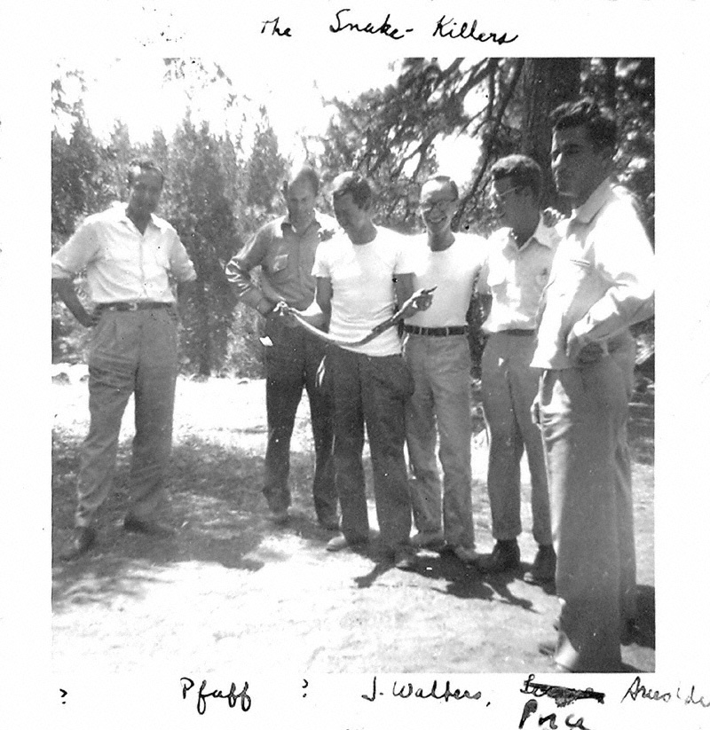 Pfaff JWalters Price Arushdi